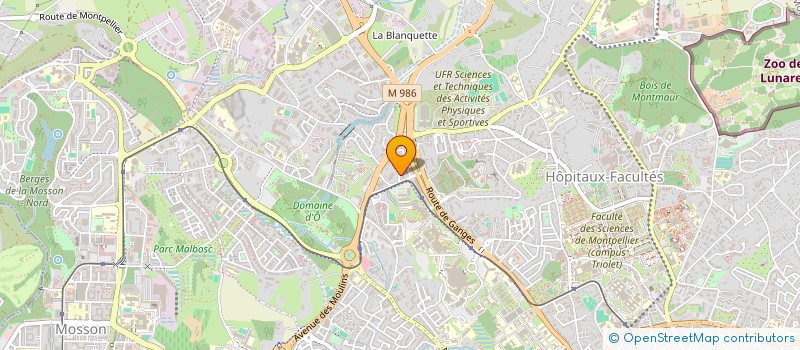 localisation de l'entreprise MADAME NOOR FATTAR à MONTPELLIER