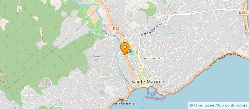 localisation de l'entreprise MADAME NORA DOUIYEB à SAINTE-MAXIME