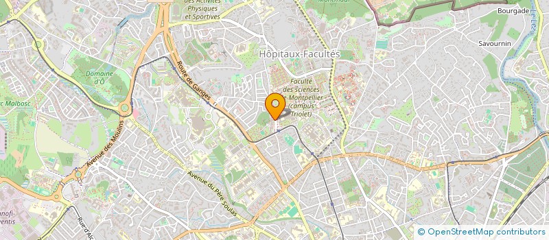 localisation de l'entreprise MADAME NORA KOUISS à MONTPELLIER