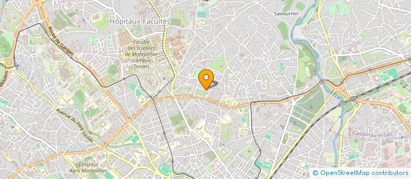 localisation de l'entreprise MADAME NORA SOUBRE-PERE à MONTPELLIER