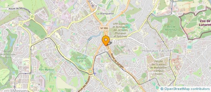 localisation de l'entreprise MADAME NORHAN LECHHAB  MONTPELLIER