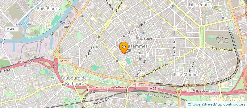 localisation de l'entreprise MADAME NOSRA BOUSABOUN à LILLE