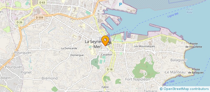 localisation de l'entreprise MADAME NOUARA KAABOUBA à LA SEYNE-SUR-MER
