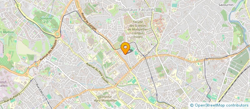 localisation de l'entreprise MADAME NOUR BOURHANE à MONTPELLIER