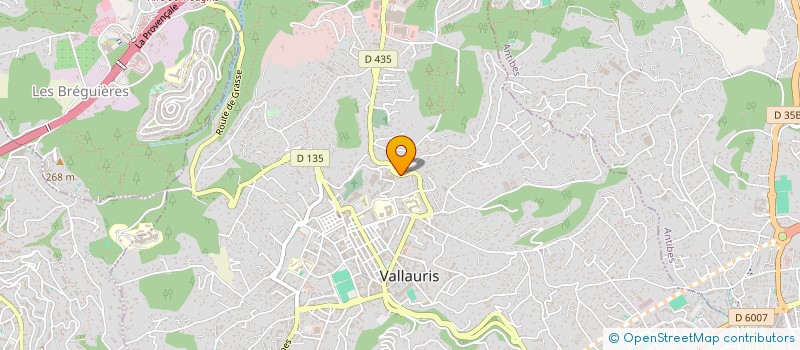 localisation de l'entreprise MADAME NOURA ARIF à VALLAURIS