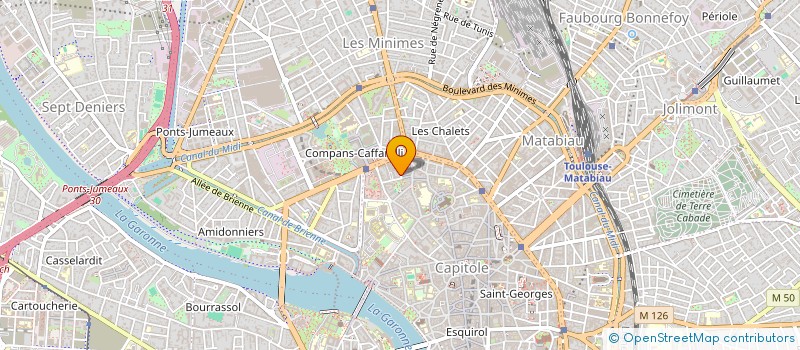 localisation de l'entreprise MADAME NYLYN LOUIS  TOULOUSE