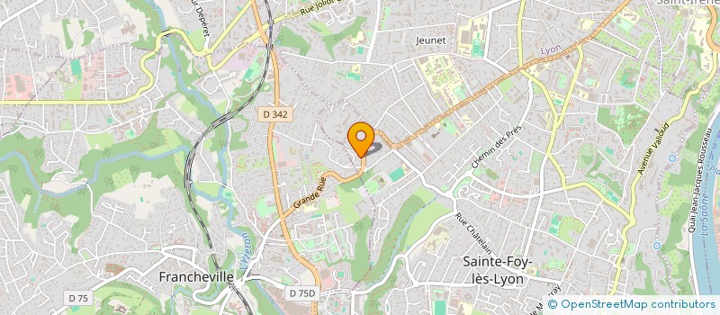 localisation de l'entreprise MADAME NYREE LOUISE ELLIOTT  SAINTE-FOY-LES-LYON