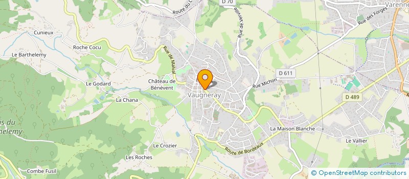 localisation de l'entreprise MADAME OANA LOREDANA PIRVAN  VAUGNERAY