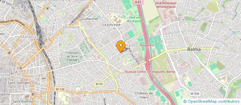 localisation de l'entreprise MADAME OBOU YOLANDE GOELI à TOULOUSE