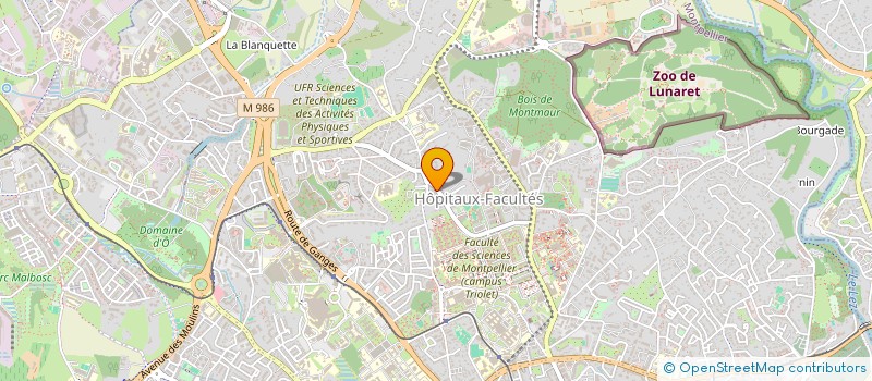 localisation de l'entreprise MADAME OCEANE ALLEGRE à MONTPELLIER