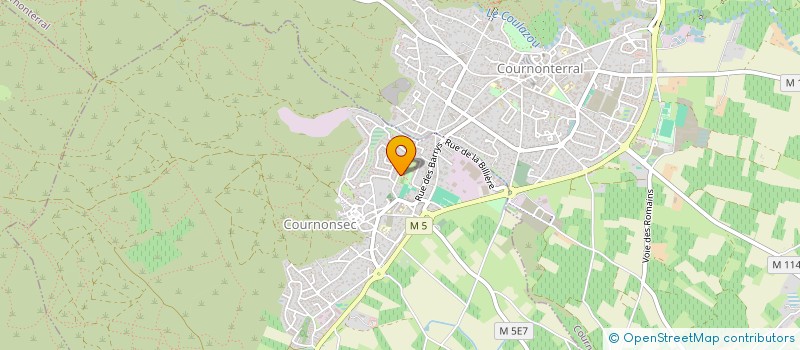 localisation de l'entreprise MADAME OCEANE DEZORD  BALARUC-LES-BAINS