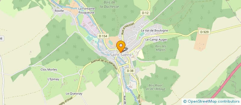 localisation de l'entreprise MADAME OCEANE DOUDEMENT  SAINT-SAENS