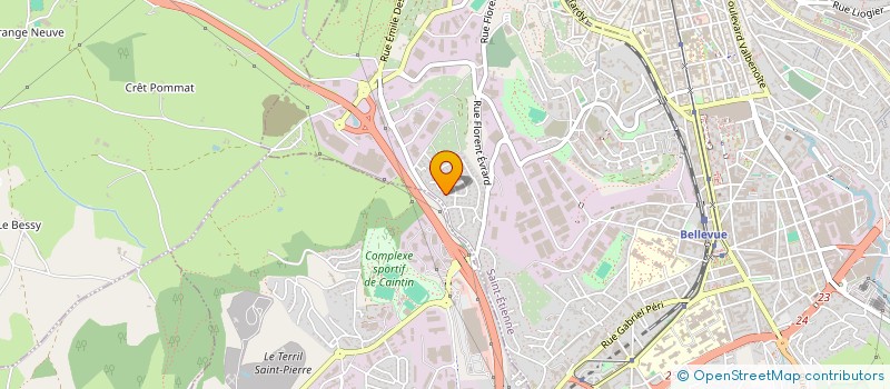 localisation de l'entreprise MADAME OCEANE LENTILLON  LE CHAMBON-FEUGEROLLES