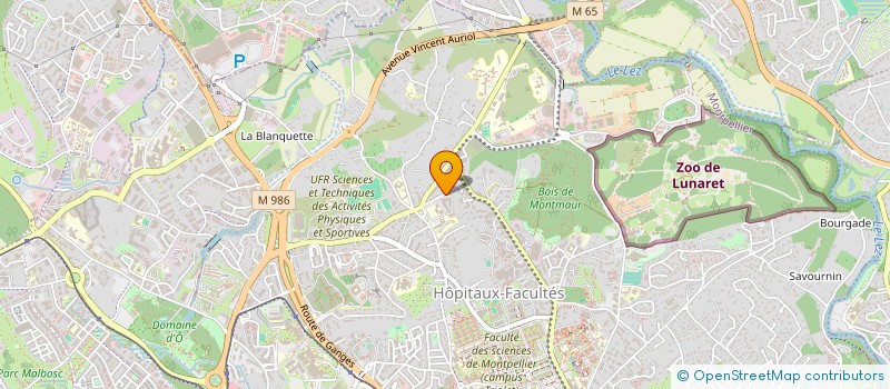 localisation de l'entreprise MADAME OCEANE SEMPERE à MONTPELLIER