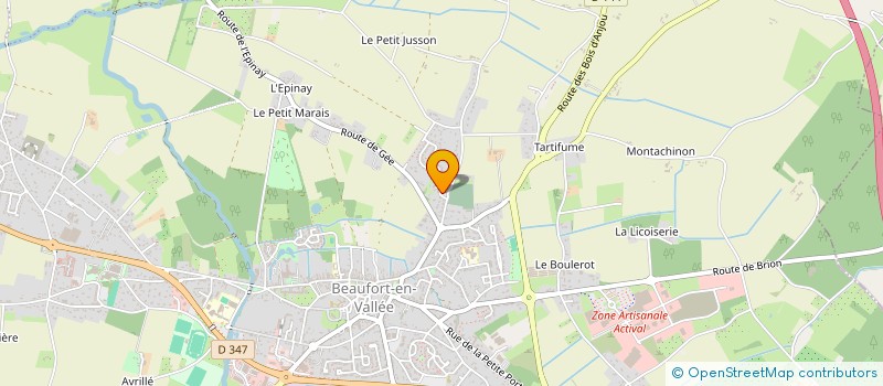 localisation de l'entreprise MADAME ODETTE BLAISONNEAU  LES BOIS D'ANJOU