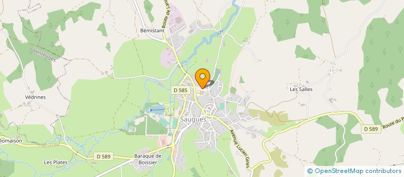 localisation de l'entreprise MADAME ODETTE FREYSSENET  SAUGUES