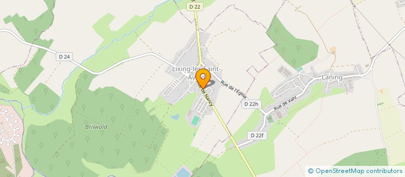 localisation de l'entreprise MADAME ODETTE JAGER  LIXING-LES-SAINT-AVOLD