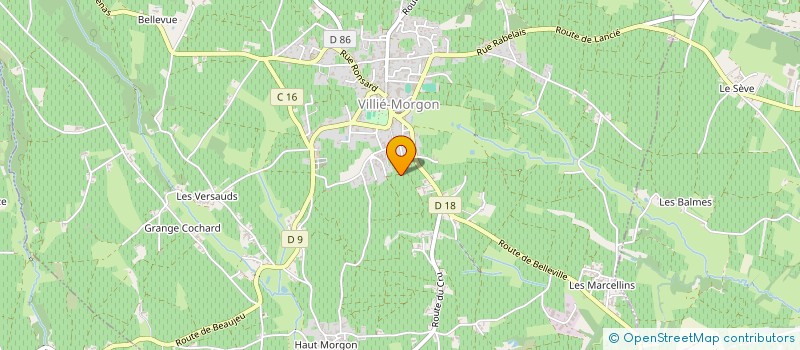 localisation de l'entreprise MADAME ODETTE JEUNE  VILLIE MORGON