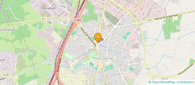 localisation de l'entreprise MADAME ODETTE MONTEVERDE  PERPIGNAN