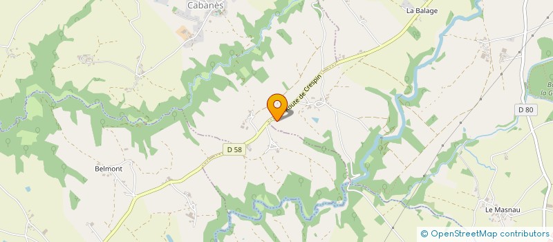 localisation de l'entreprise MADAME ODETTE PALOUS  NAUCELLE