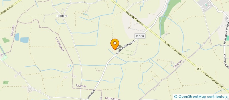 localisation de l'entreprise MADAME ODETTE SAGNES  SAVENES