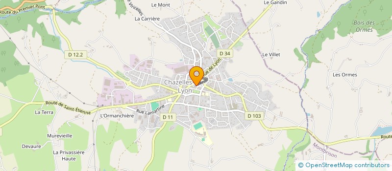 localisation de l'entreprise MADAME ODILE BATAILLON à CHAZELLES SUR LYON
