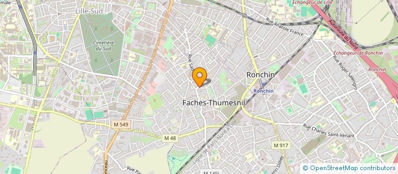 localisation de l'entreprise MADAME ODILE BAUDVIN  FACHES-THUMESNIL