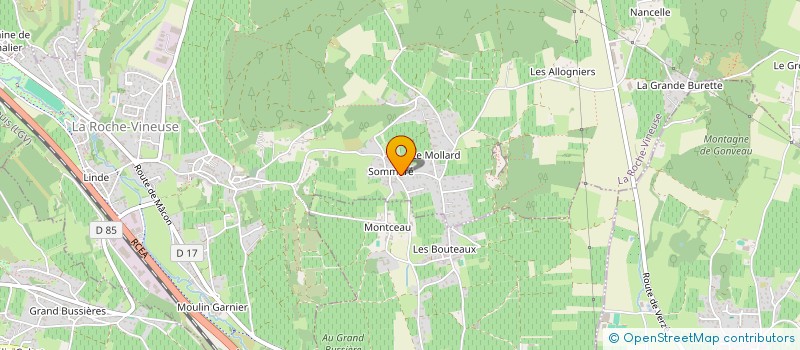localisation de l'entreprise MADAME ODILE BERTHAUD à ROCHE-VINEUSE (LA)