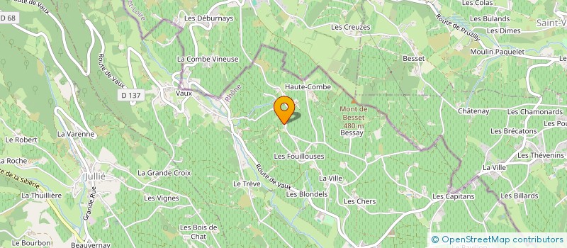 localisation de l'entreprise MADAME ODILE CONDEMINE à JULIENAS
