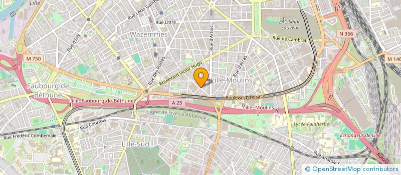 localisation de l'entreprise MADAME ODILE DELCUSE à LILLE