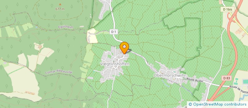 localisation de l'entreprise MADAME ODILE GOEPFERT  VGTLINSHOFFEN
