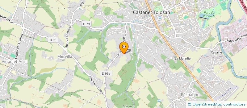 localisation de l'entreprise MADAME ODILE LASMARRIGUES à CASTANET-TOLOSAN