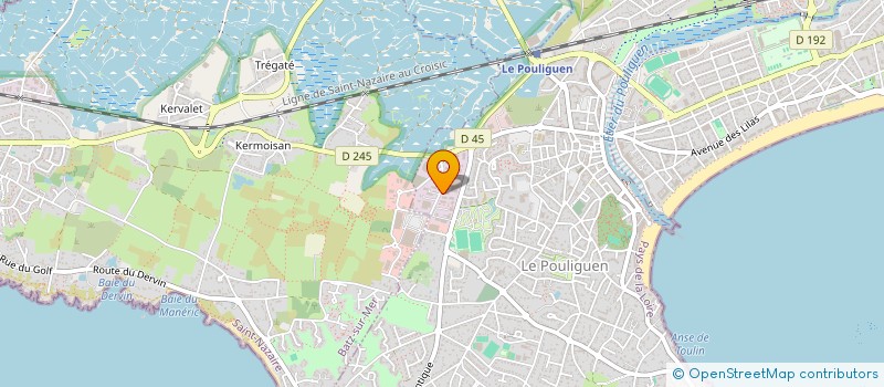 localisation de l'entreprise MADAME ODILE RIVALANT  LE POULIGUEN