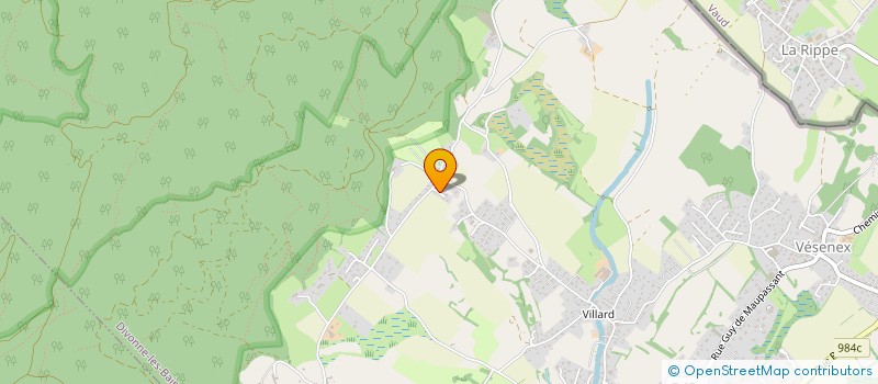 localisation de l'entreprise MADAME ODILE RODRIGUEZ  DIVONNE-LES-BAINS