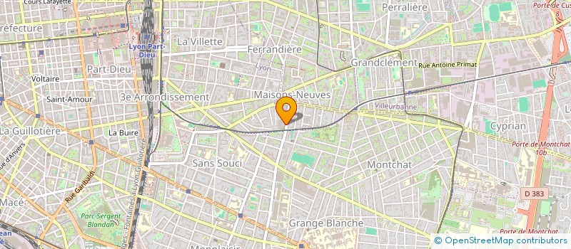 localisation de l'entreprise MADAME ODILE ROUX  LYON