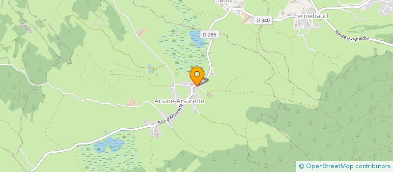 localisation de l'entreprise MADAME ODILE TRIBODET  ARSURE-ARSURETTE