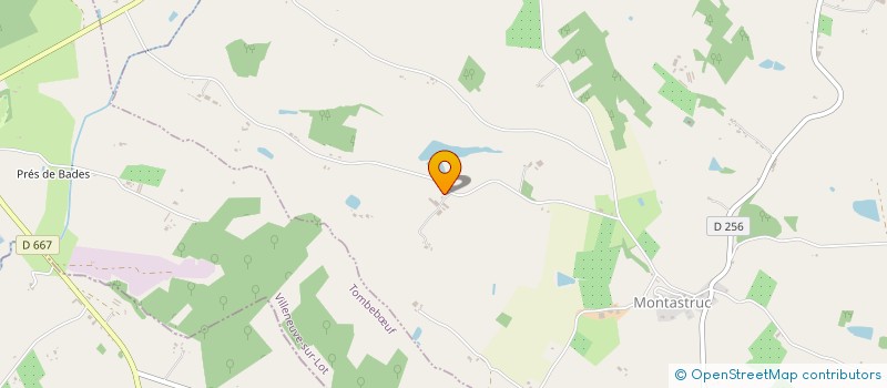 localisation de l'entreprise MADAME ODILE VERMEULEN  MONTASTRUC