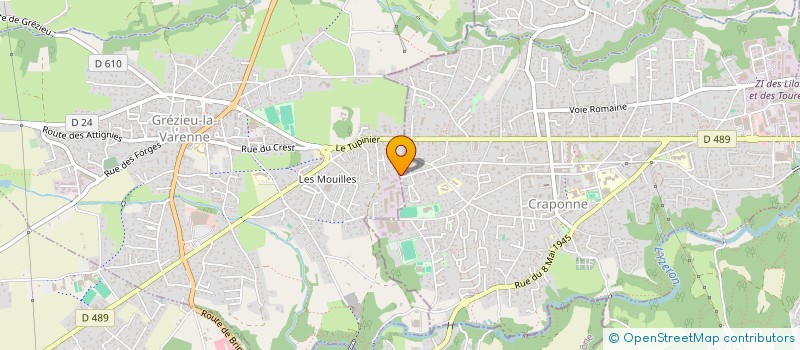 localisation de l'entreprise MADAME ODILIA ROBARD  GREZIEU-LA-VARENNE