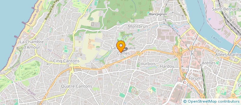 localisation de l'entreprise MADAME OIHANA CARRERE  ANGLET