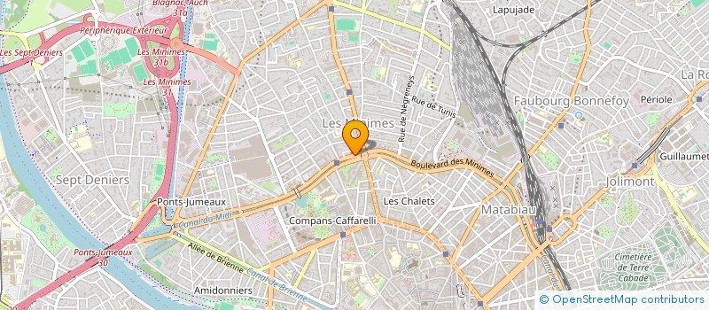 localisation de l'entreprise MADAME OKSANA VIRTCHENKO à TOULOUSE