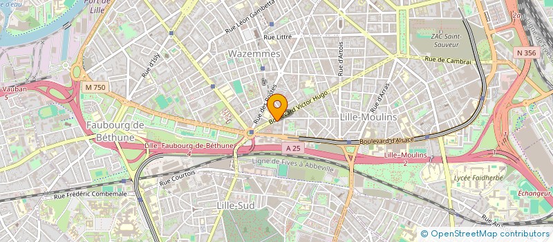 localisation de l'entreprise MADAME OLA ALHAJ HASAN à LILLE