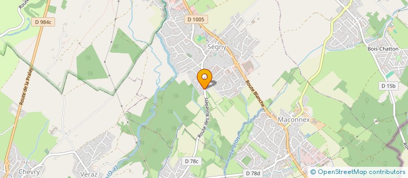 localisation de l'entreprise MADAME OLENA PILIUHAIEVA  GEX