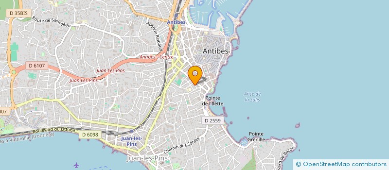 localisation de l'entreprise MADAME OLENA VOLOSHYNA à ANTIBES