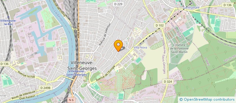 localisation de l'entreprise MADAME OLENA ZHUK  VILLENEUVE ST GEORGES