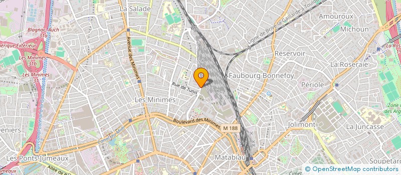 localisation de l'entreprise MADAME OLFA JENDOUBI à TOULOUSE