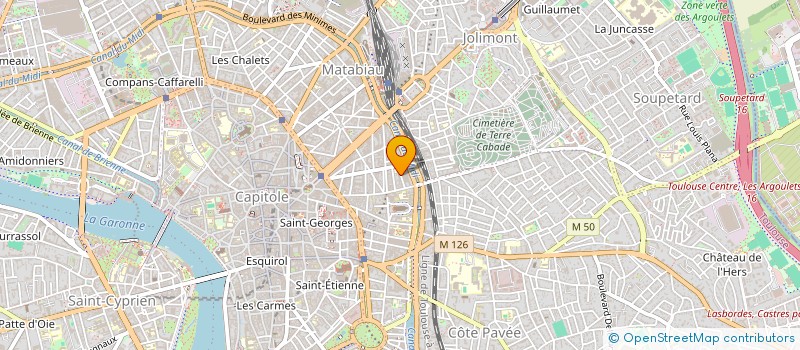 localisation de l'entreprise MADAME OLGA FRICHEMENT  TOULOUSE
