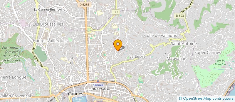 localisation de l'entreprise MADAME OLGA KOZYREVA à CANNES