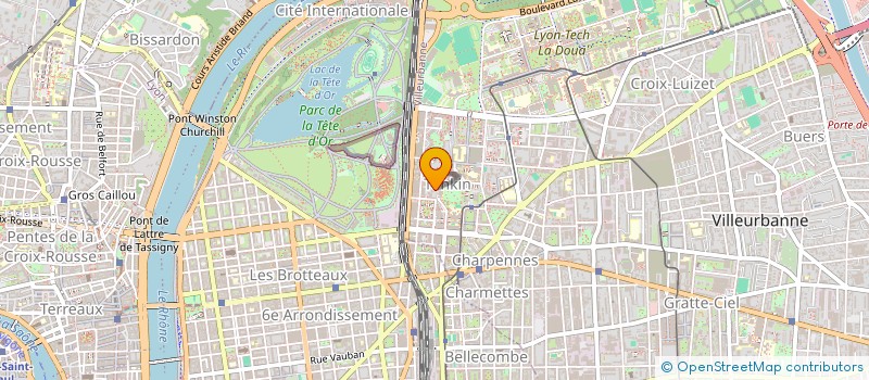 localisation de l'entreprise MADAME OLGA KRAVCHENKO  VILLEURBANNE