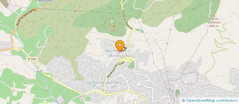localisation de l'entreprise MADAME OLGA LEVSHIN-SHAKULINA à BORMES-LES-MIMOSAS