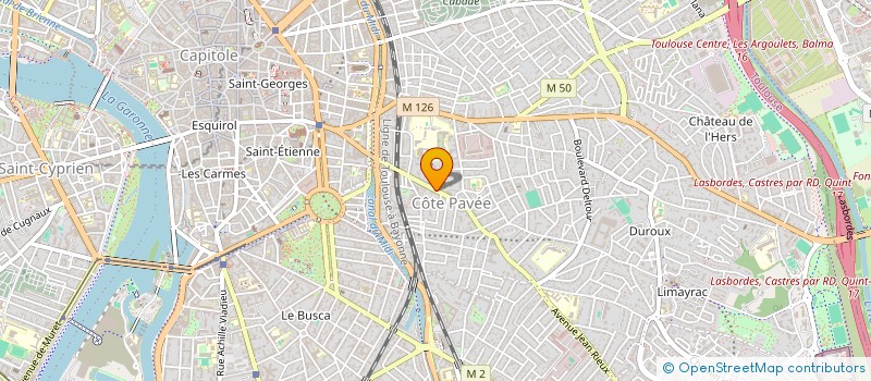 localisation de l'entreprise MADAME OLGA MERKUSHEVA à TOULOUSE